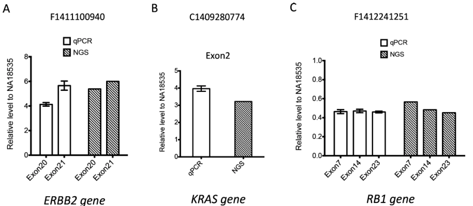 Validation of gene amplification by quantitative PCR (qPCR). Relative levels of amplified exons of three representative genes ERBB2 (A), KRAS (B) and RB1 (C) identified by next-generation sequencing (NGS) were detected by qPCR, which was further normalized by the relative level of reference ZNF80 gene region. The fold change for certain exon was calculated by normalizing to its relative level in normal control sample NA18535. Each value represents the mean  SEM of three independent experiments for qPCR results. Copy number change detected by NGS was also plotted together with qPCR data on the right.