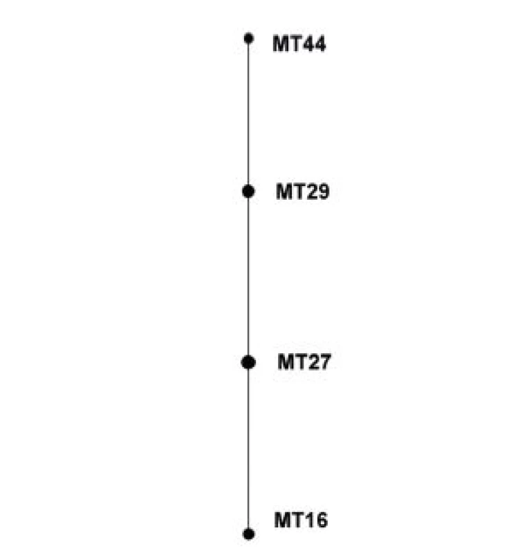 Diagram eBURST, MLVA analýza kmenů &lt;i&gt;B. pertussis,&lt;/i&gt; ČR, 1990–2007
Figure 3. eBURST diagram, MLVA analysis of &lt;i&gt;B. pertussis&lt;/i&gt; strain collection, Czech Republic, 1990–2007