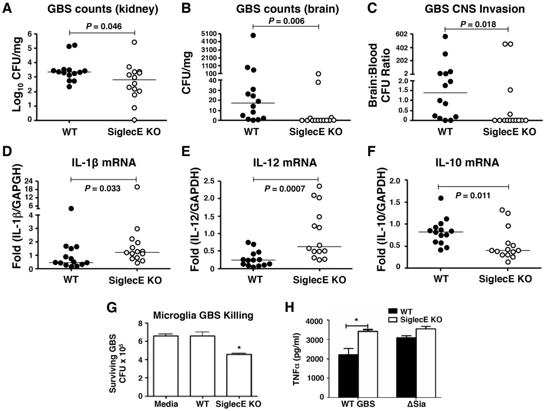 Reduced brain dissemination and enhanced bactericidal responses in Siglec-E deficient mice upon sublethal GBS challenge.