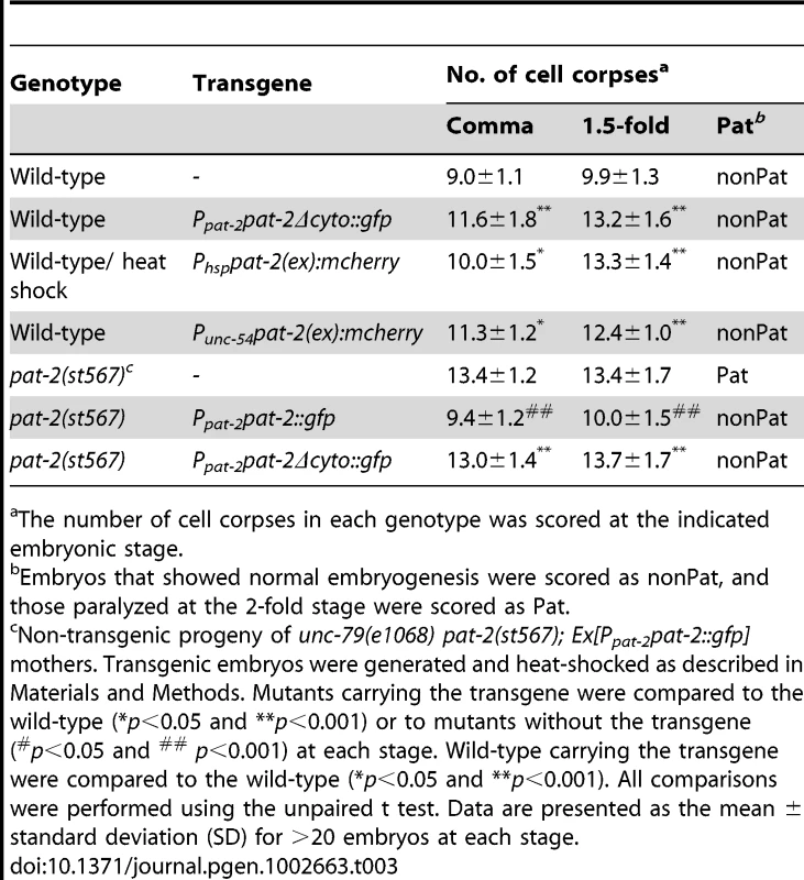 Effects of mutant <i>pat-2</i> transgenes on the Ced and Pat phenotypes.