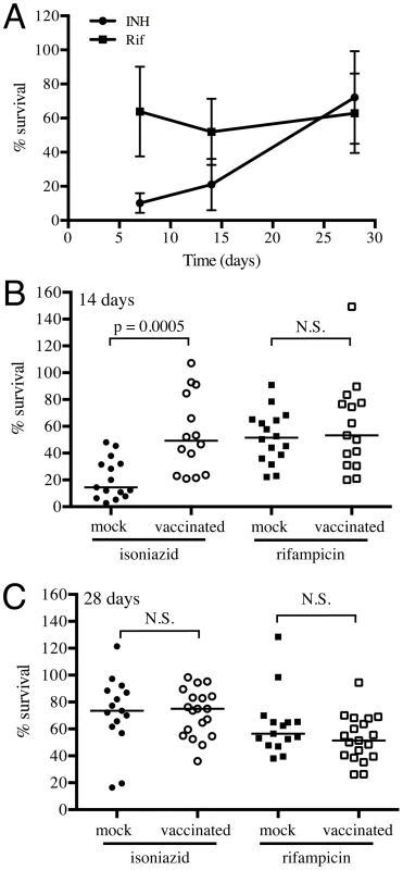 Mtb in vaccinated lungs display higher tolerance to isoniazid but not rifampicin.