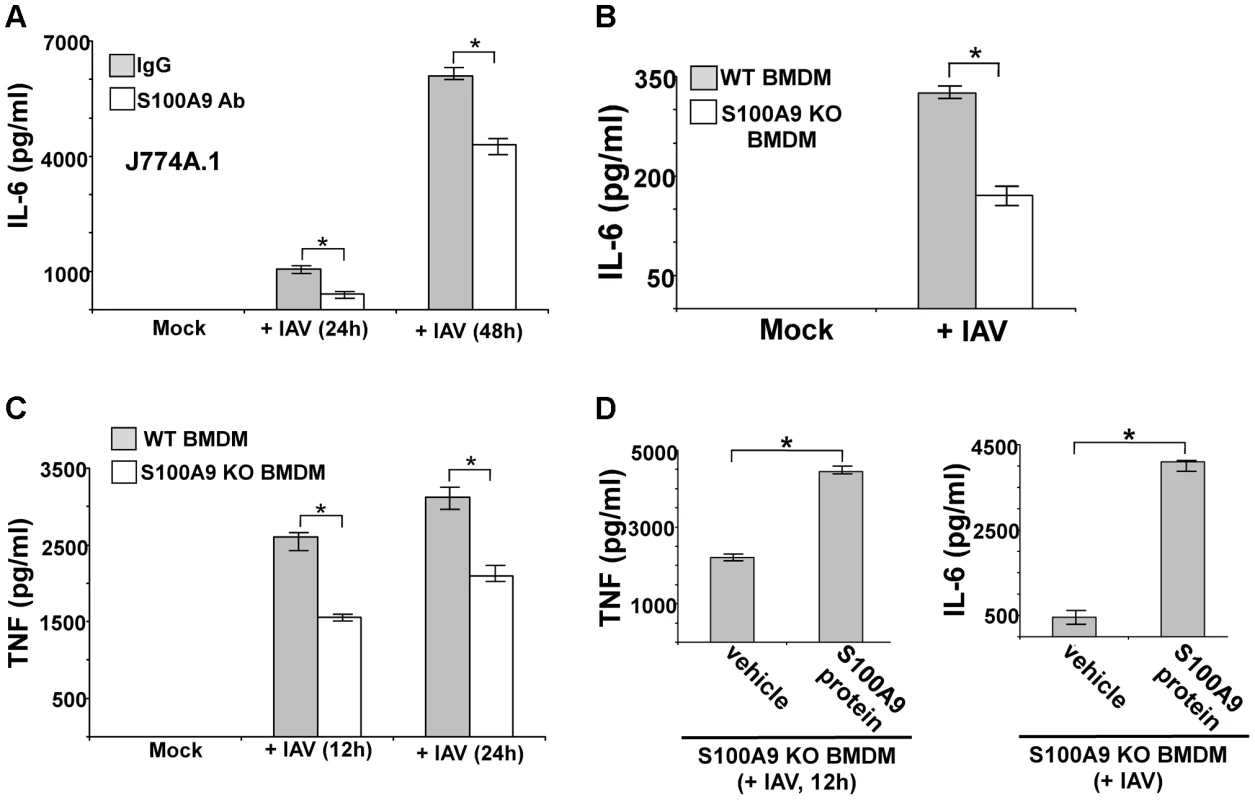 Extracellular S100A9 plays an essential role in inducing pro-inflammatory response during IAV infection of macrophages.