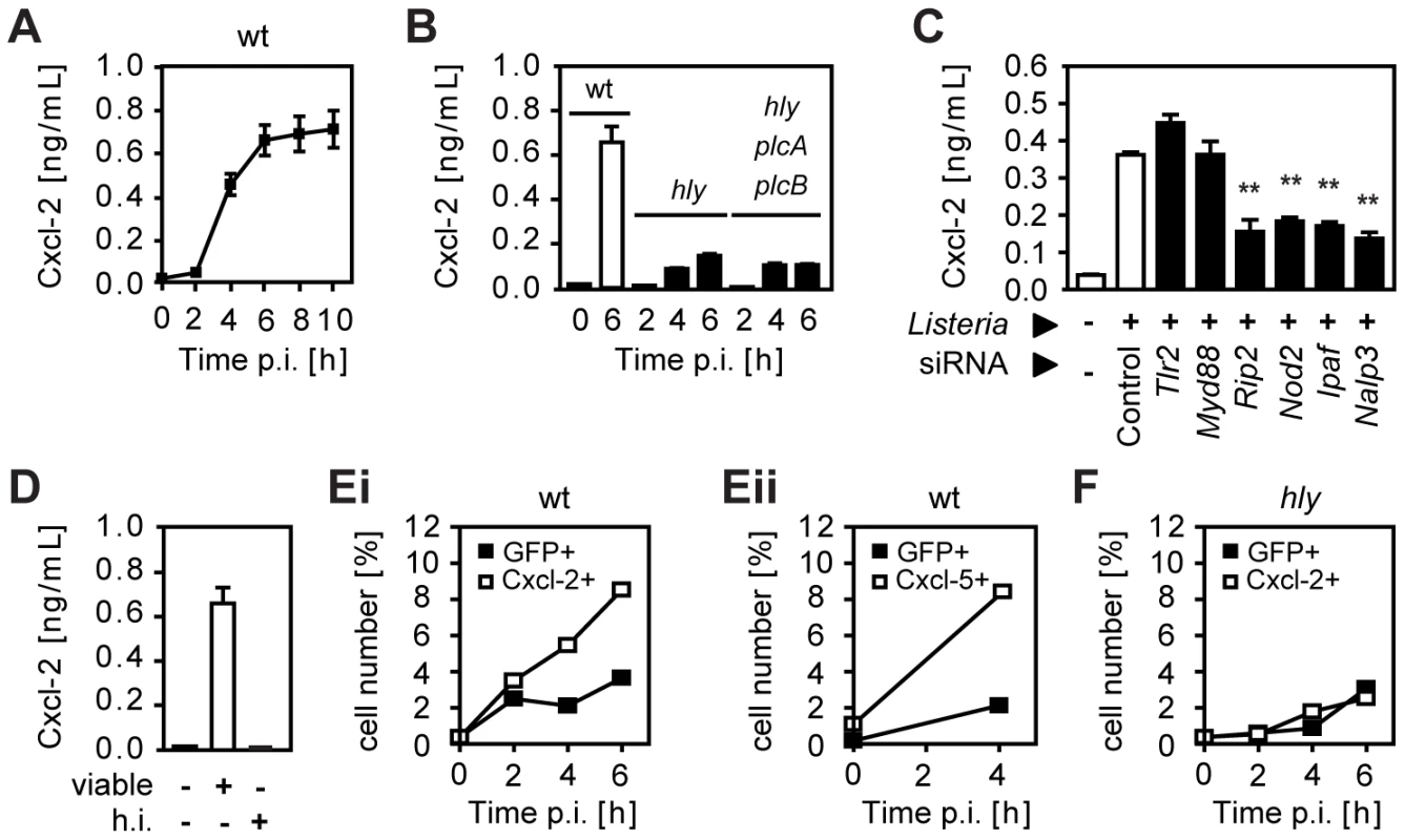 <i>Listeria</i>-induced activation of intestinal epithelial cells is largely dependent on invasion and endosomal lysis.