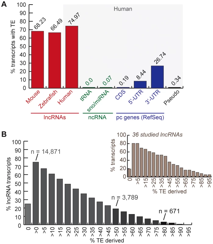 TE occurrence in lncRNAs.