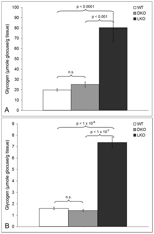 Glycogen levels in skeletal muscle and brain in 12-month-old wt, LKO, and DKO mice (µmol glucose/gm tissue).
