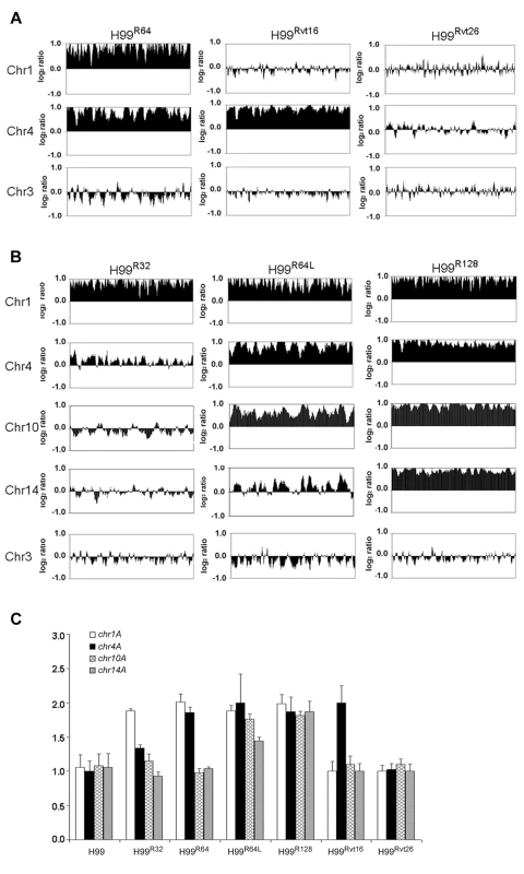 Gain and loss of FLC resistance positively correlates with the number of chromosomes duplicated.