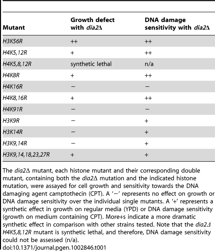 Effect of histone lysine mutations on the growth and DNA damage sensitivity of <i>dia2</i>Δ cells.