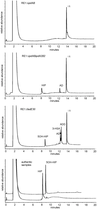 Gas chromatography profiles showing the formation of methylhexahydroindanone propionate intermediates during whole cell biotransformations of 4-androstene-3,17-dione (AD) by mutant strains of <i>R. equi</i> RE1 at T = 120 hours.
