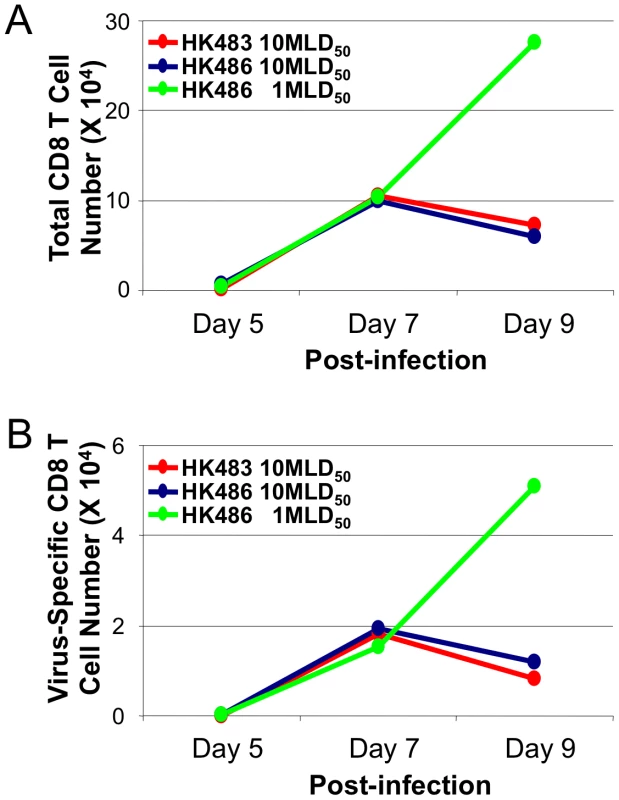 Premature contraction of CD8 T cells in mice infected with lethal dose of highly pathogenic H5N1 influenza viruses.