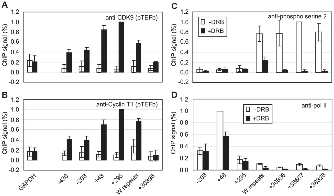 pTEFb is recruited to Cp and is required for serine 2 phosphorylation.