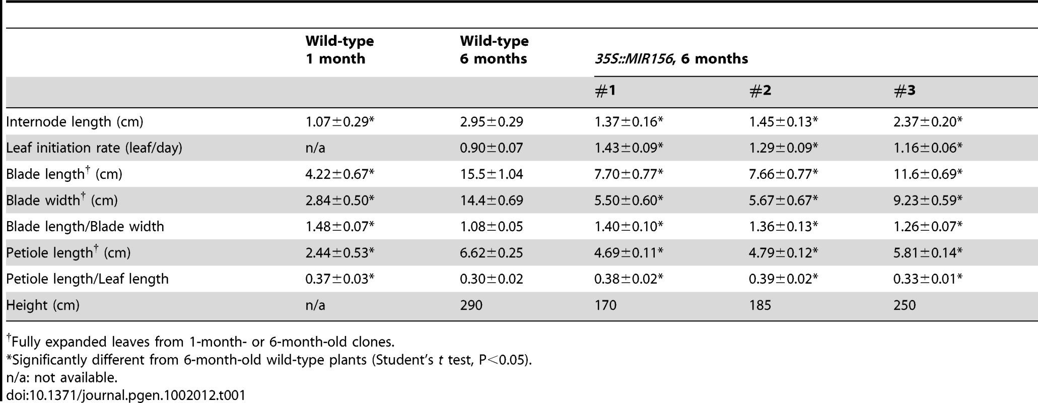Growth characteristics of <i>35S::MIR156 P. x canadensis</i> plants.