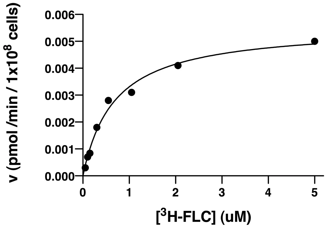 Kinetics of import of [<sup>3</sup>H]-FLC.
