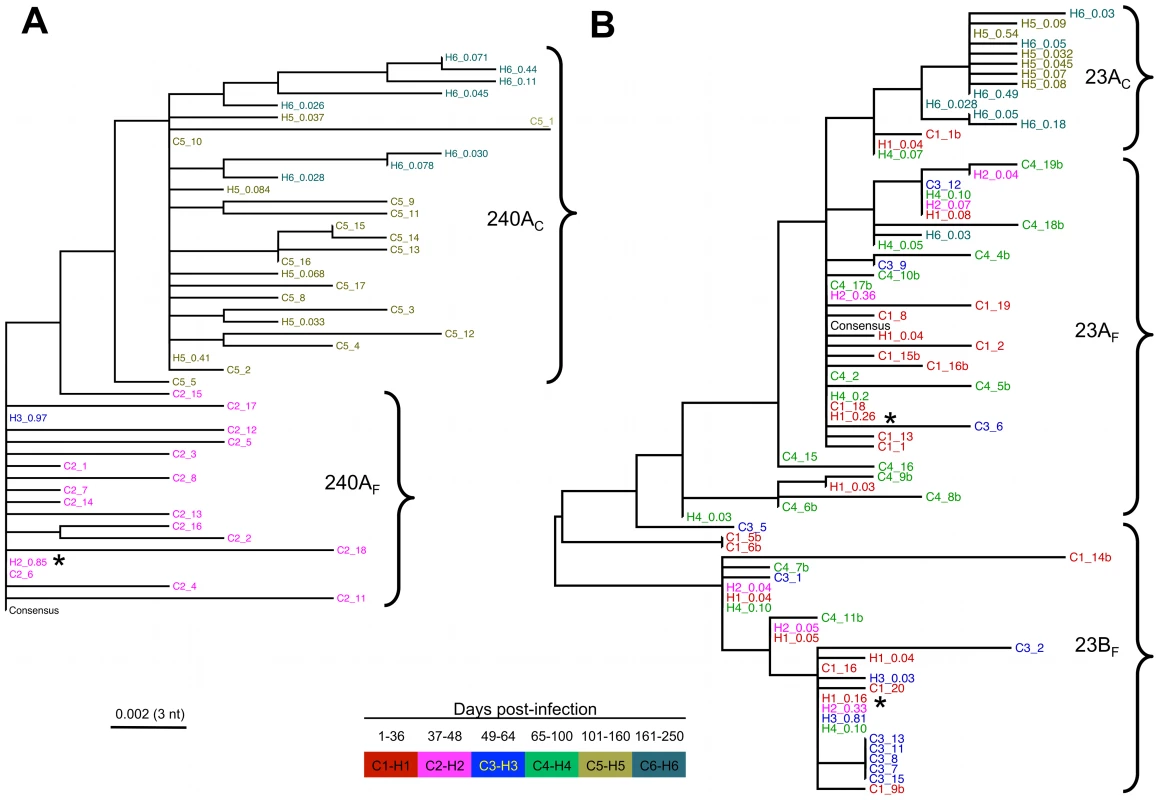 Evolutionary dynamics of HCV variants over the partial E2 region of the genome.