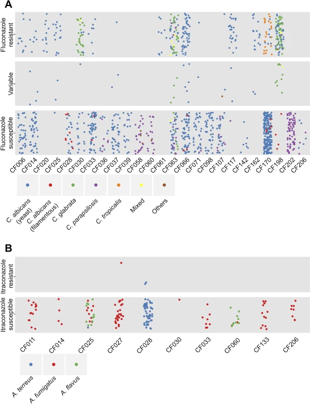 Diversity of species and antifungal resistance profiles of 1,603 fungal isolates from cystic fibrosis patients.