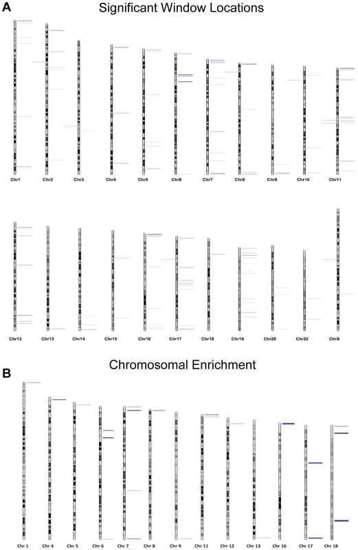 (A) Chromosomal loci of each altered region are depicted where blue marks represent hypomethylation events and red marks hypermethylation events.