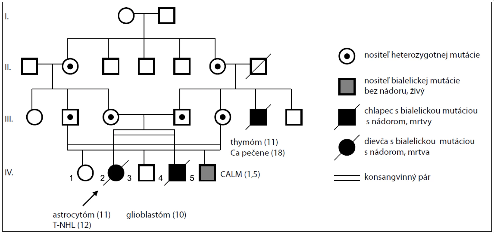 Rodokmeň rodiny s bialelickou mutáciou v géne &lt;em&gt;MSH6&lt;/em&gt;.