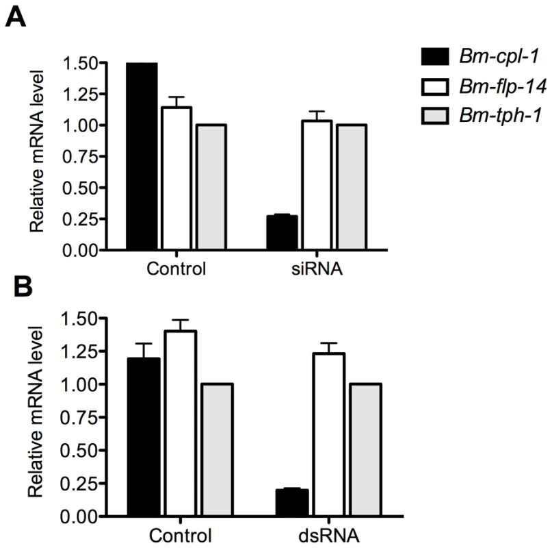 Quantitative PCR demonstrates significant reduction in <i>Bm-cpl-1</i> transcript levels as a result of siRNA and dsRNA RNAi trigger injection into <i>B. malayi</i>-infected <i>Ae. aegypti</i>.