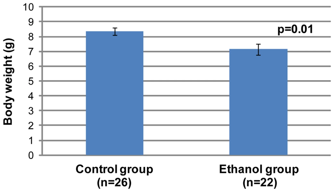 Offspring in the gestational ethanol exposure group have a statistically significantly lower mean weight than the control group (Student's <i>t</i>-test, p&lt;0.05).