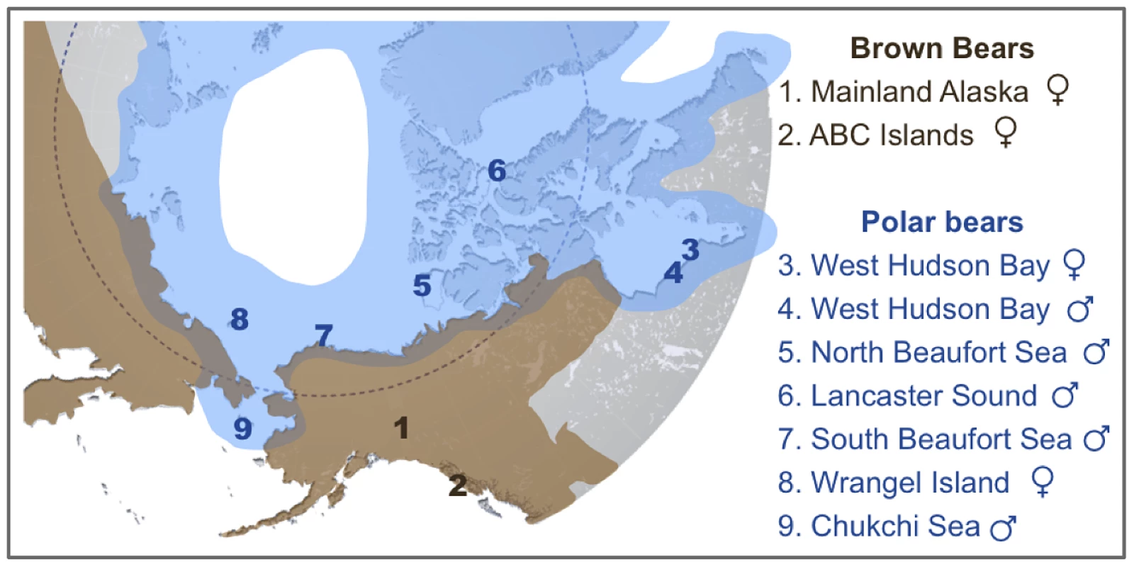 Map showing the approximate current geographic ranges of brown bears (brown) and polar bears (blue).