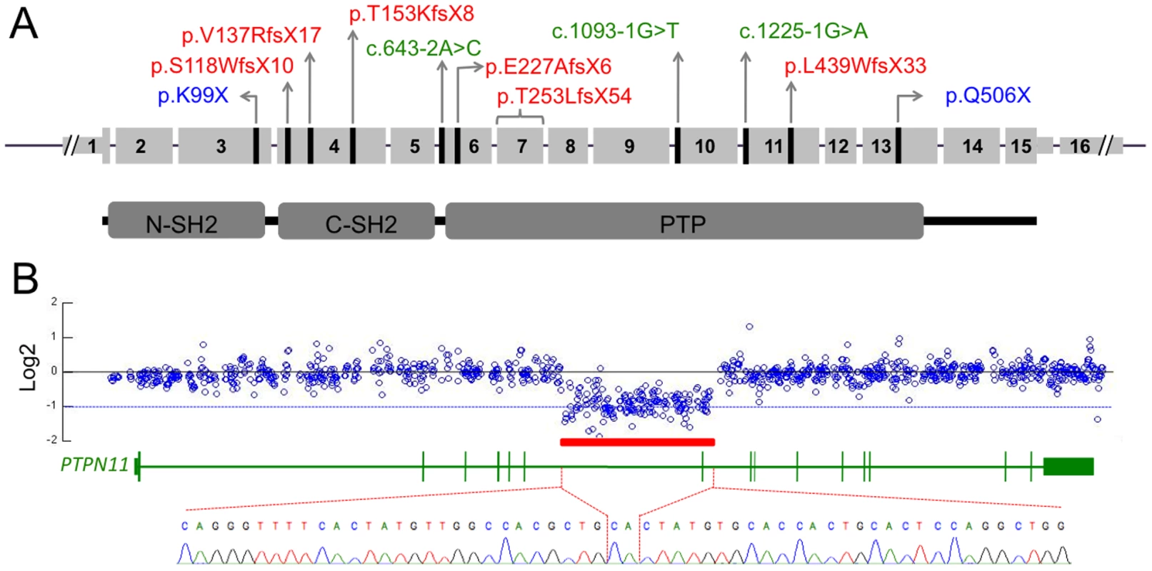 <i>PTPN11</i> mutations identified in MC participants.