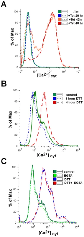 Cytoplasmic calcium concentration is elevated in SLS induced cells.
