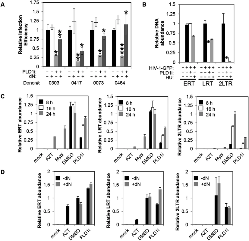 Inhibition of PLD1 activity in activated T cells restricts HIV-1 infection in a dNTP-dependent fashion.