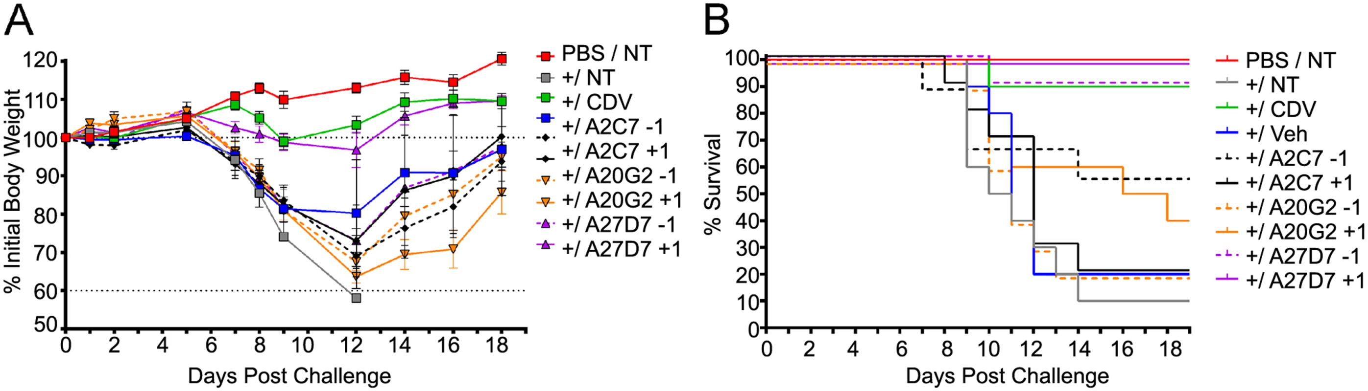 Treatment with antibody A27D7 protects mice against a lethal ECTV challenge.