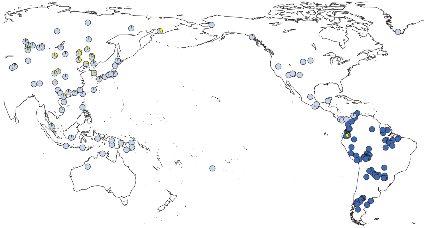 Prevalence of Y-SNP haplogroup C-M217 (C3*) around the Pacific Ocean.