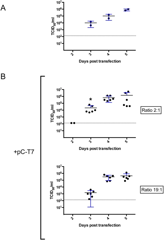 Optimization of support plasmid ratios for CCHFV rescue in BSR-T7/5.