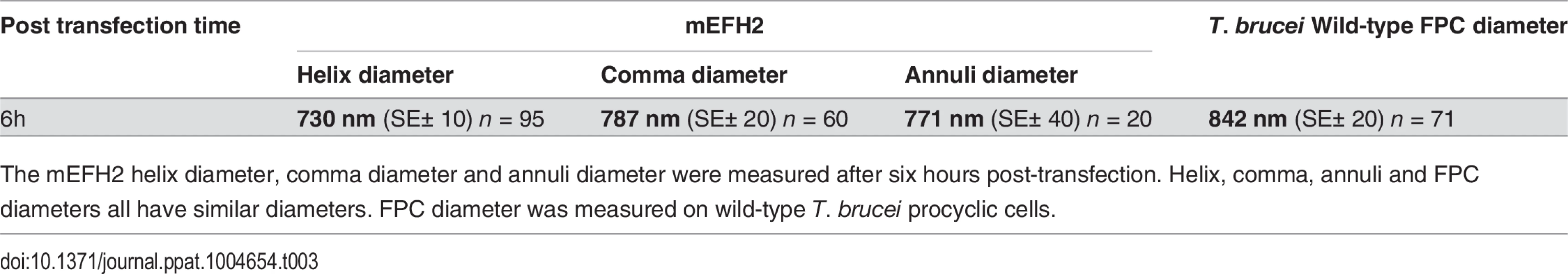 Mean mEFH2-induced helix, coma and annuli diameter after expression in U-2 OS cells and mean FPC diameter.