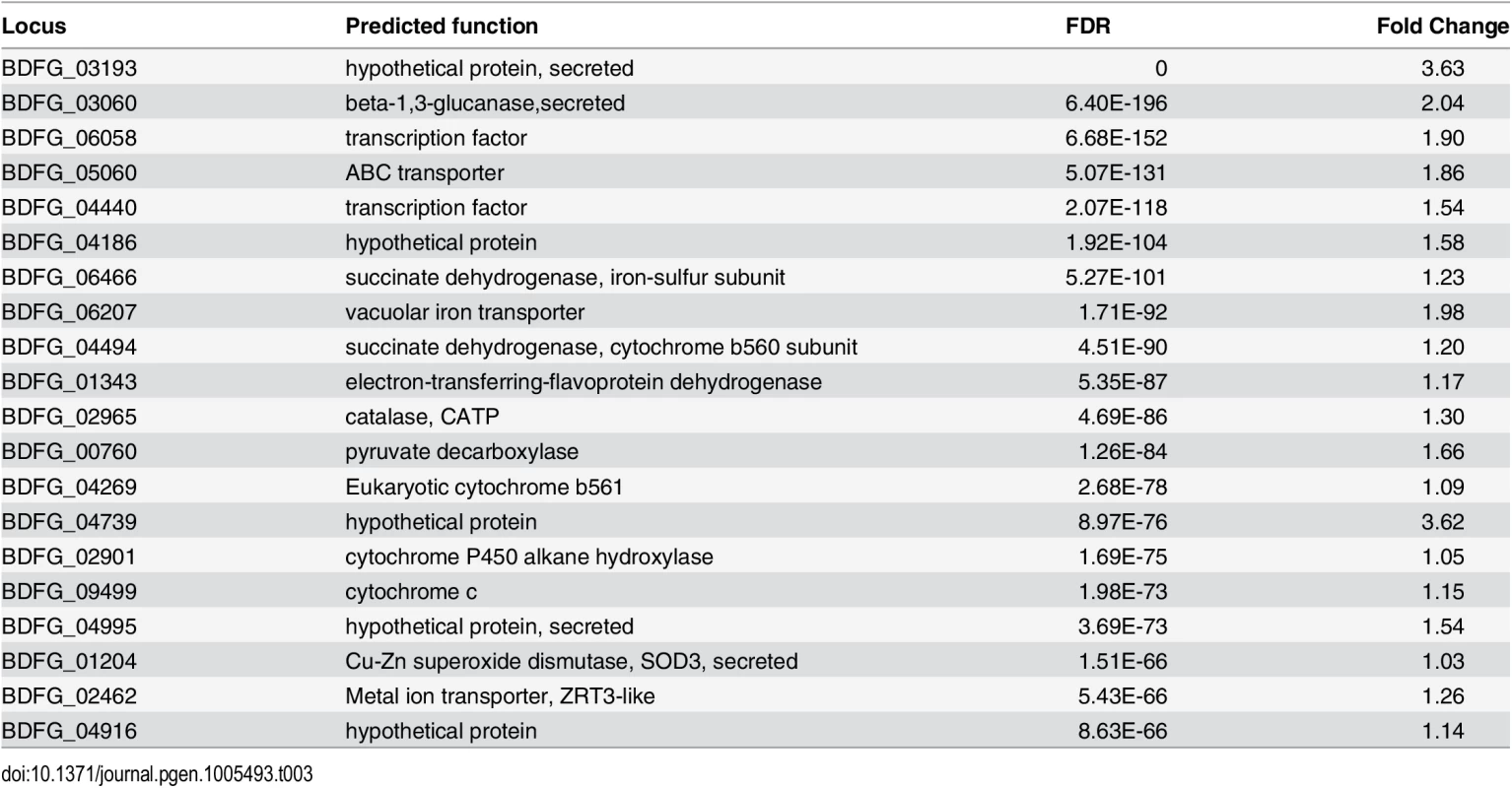 &lt;i&gt;Blastomyces&lt;/i&gt; transcripts most significantly induced during macrophage infection.