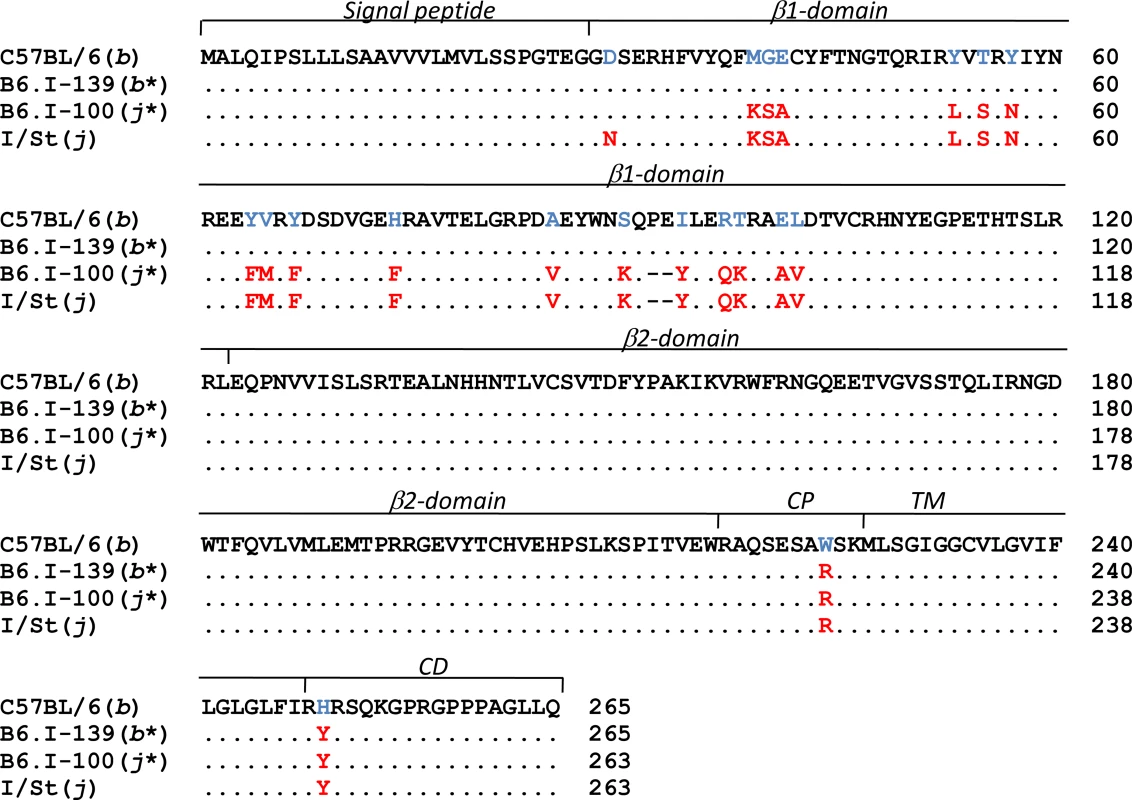 The differences in H2-Ab1 AA sequences between B6.I-100 and B6.I-139 mice.