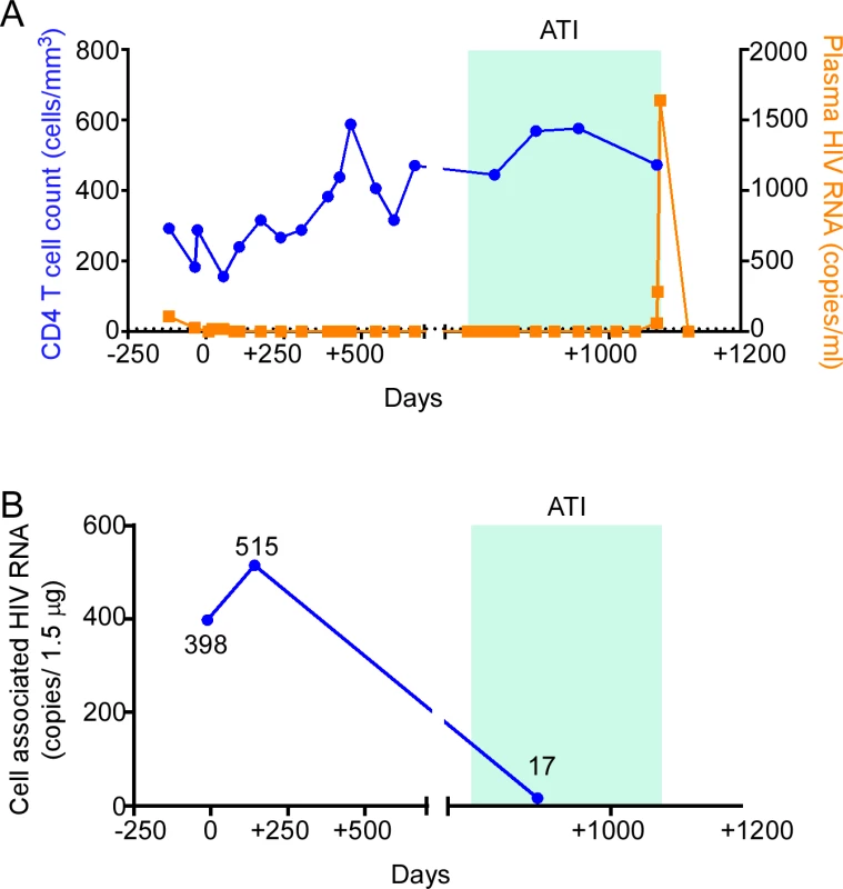 HIV-1 RNA monitoring in the peri-transplant period.