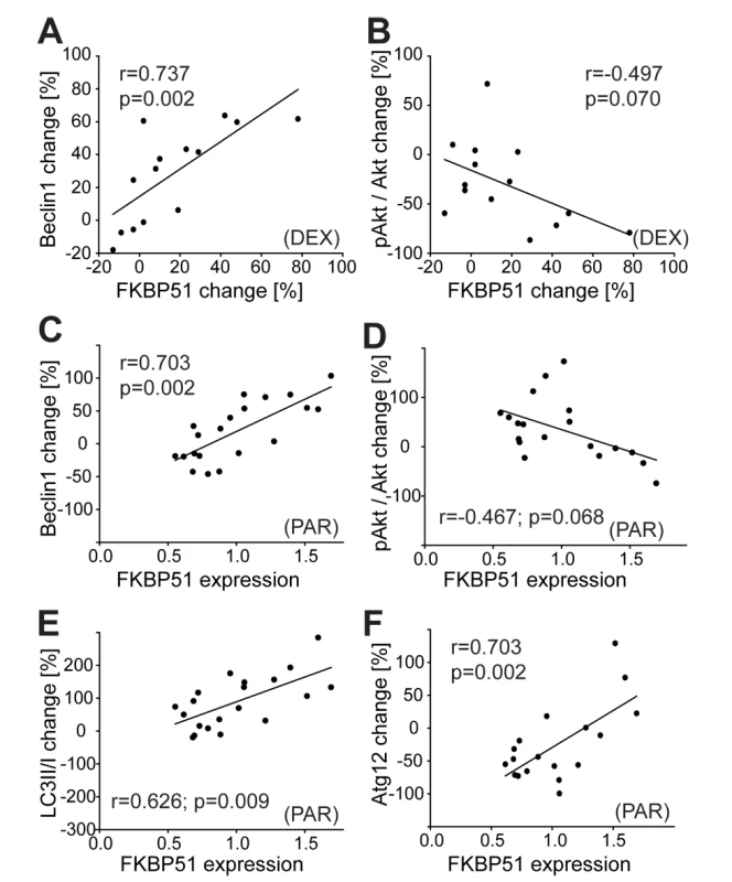 Effects of dexamethasone and of antidepressants on autophagic pathway components in human PBMCs correlate with FKBP51.