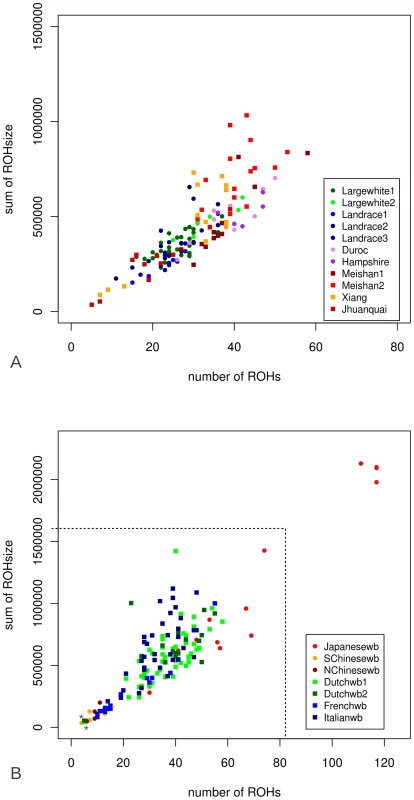 Number and cumulative ROH size (ROHs&gt;5MB) for all genotyped individuals.