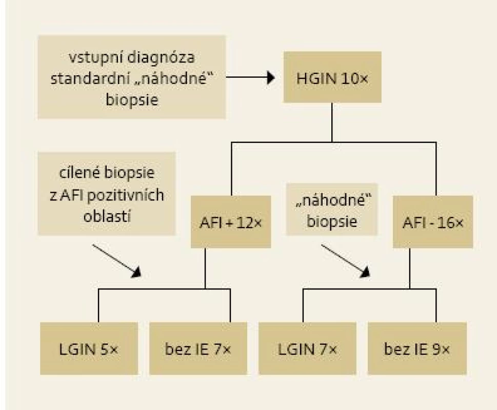 Výsledky cílených biopsií z AFI pozitivních lézí u pacientů s LGIN.
Fig. 5. Results of targeted biopsies from AFI-positive area in patients with LGIN.