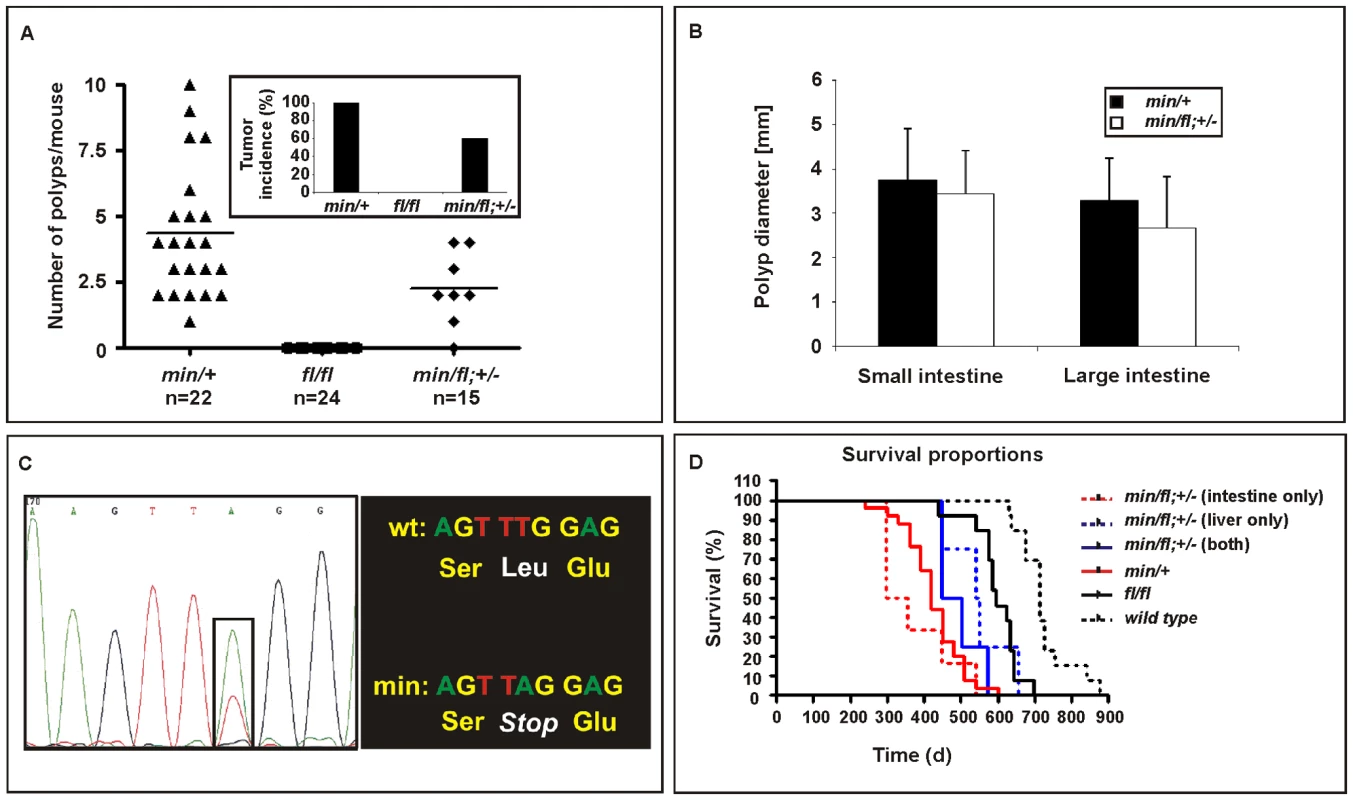 Intestinal tumor burden and impaired survival in <i>Apc</i> compound mutant mice.