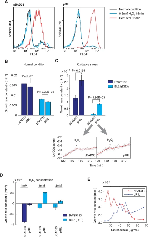 Higher tRNA concentrations improve adaptation under oxidative stress.