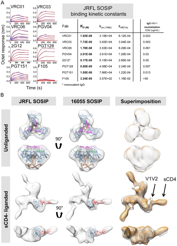 Kinetic measurements and EM 3D reconstructions of unliganded and sCD4-liganded SOSIP trimers.