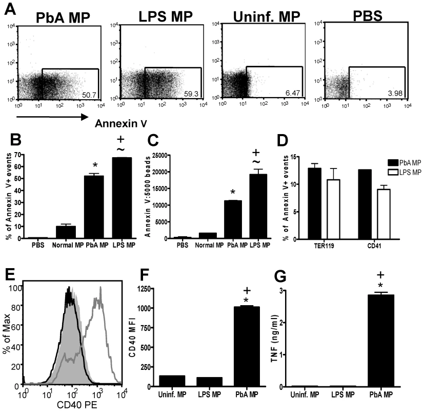 LPS-inflammation induced MPs do not activate macrophages.