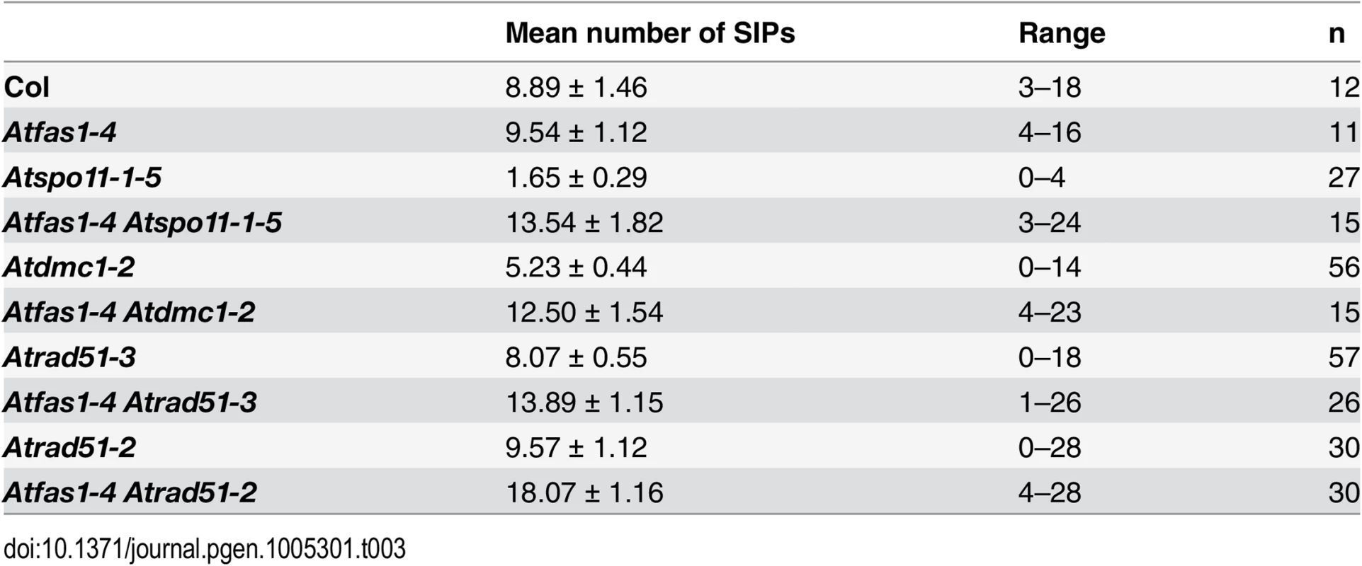 Mean numbers of SIPs per cell in the mutants analyzed.