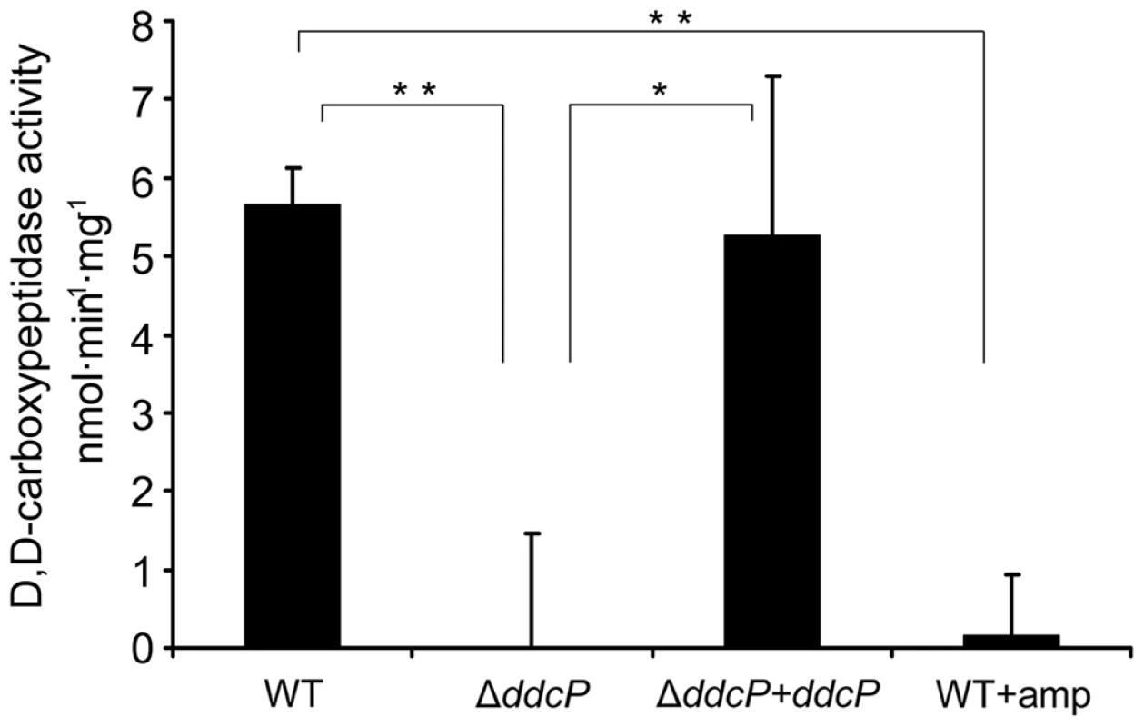 D,D-carboxypeptidase activity in <i>E. faecium</i> membrane fractions.