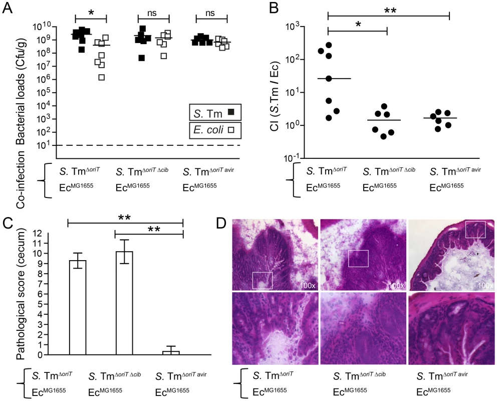 Colicin-dependent competition of <i>S.</i> Tm and <i>E. coli</i> in the gut in inflammation-induced “blooms” in gnotobiotic LCM mice.