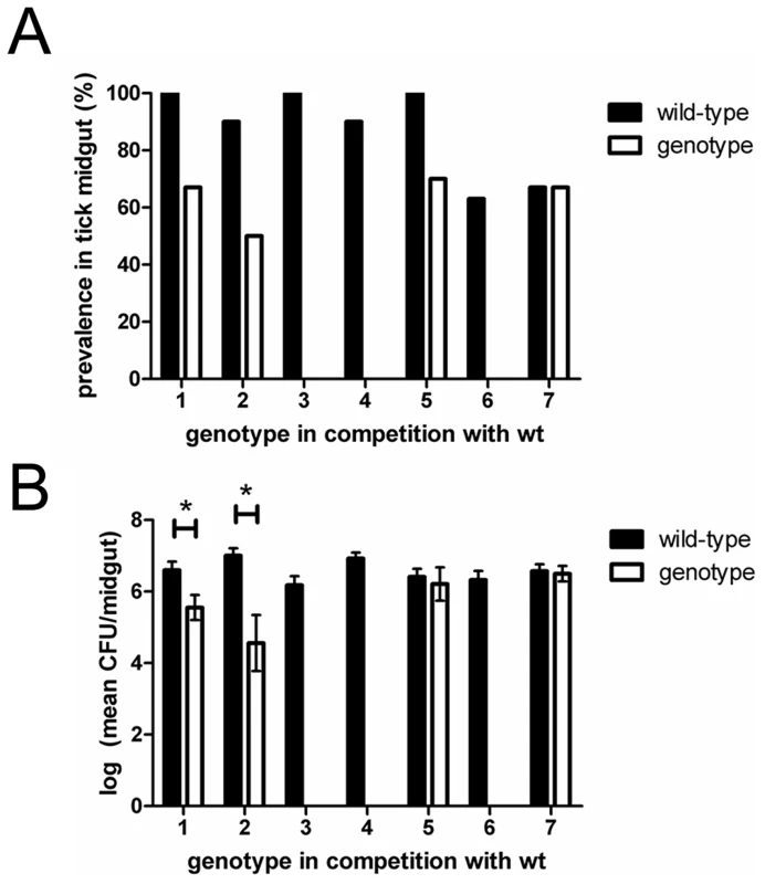 Competition between wild-type and individual genotypes.