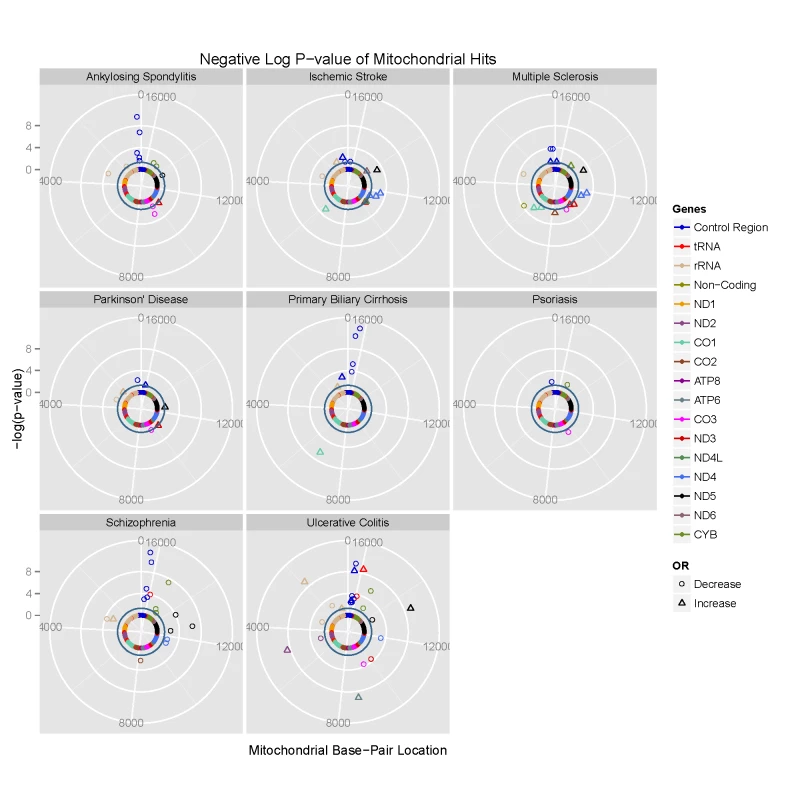 Circularised Manhattan plots of imputed P values showing the association between mtDNA variants and eight complex traits.