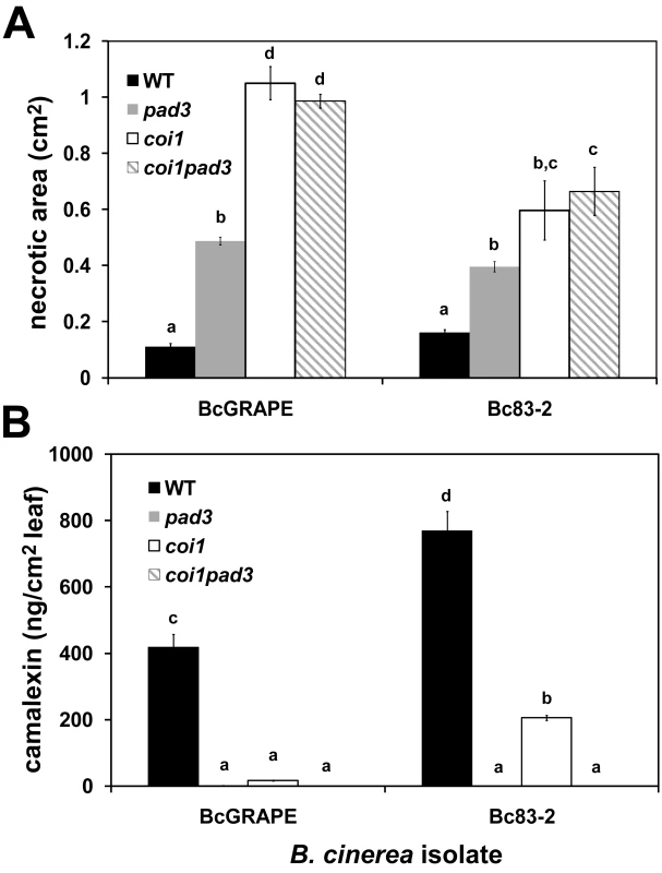 Response to <i>B. cinerea</i> infection in jasmonate-insensitive and camalexin-deficient <i>A. thaliana</i>.