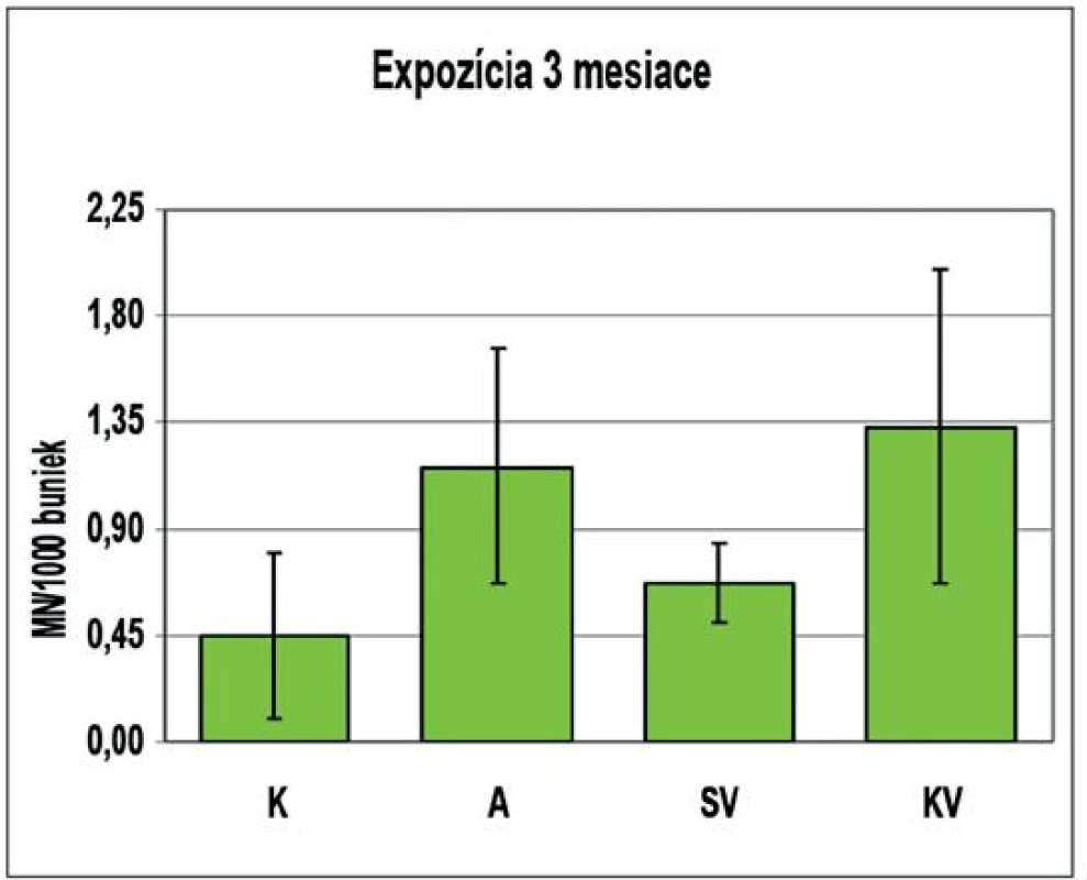 Genotoxické účinky AMO, SV a KV po 2-mesačnej expozícii