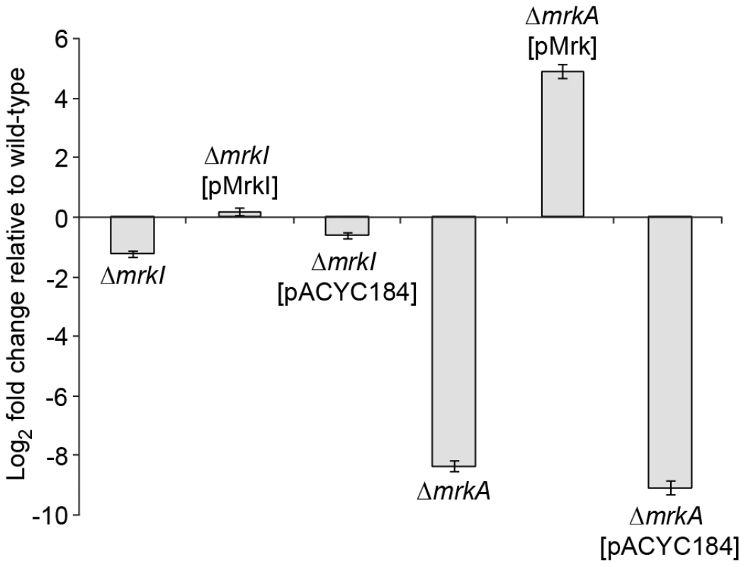 Quantitative RT-PCR analysis of <i>mrkA</i> RNA levels.