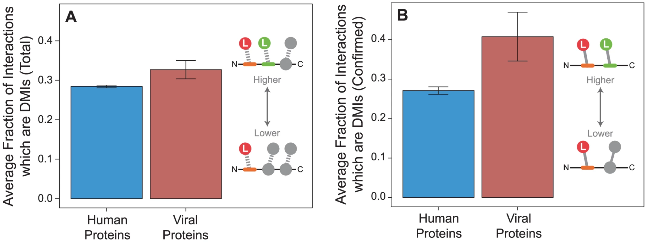 Viral proteins have a higher fraction of domain-motif interactions (DMIs) than human proteins.