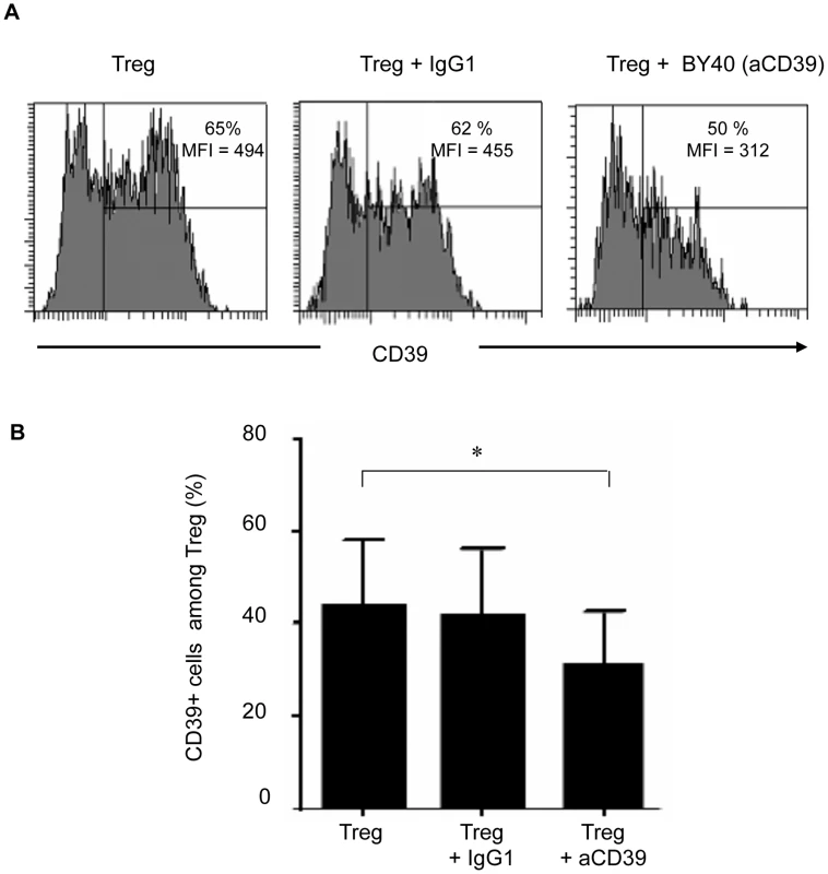 Preincubation of Treg with anti-CD39 BY40 mAb down-modulates CD39 expression on Treg.